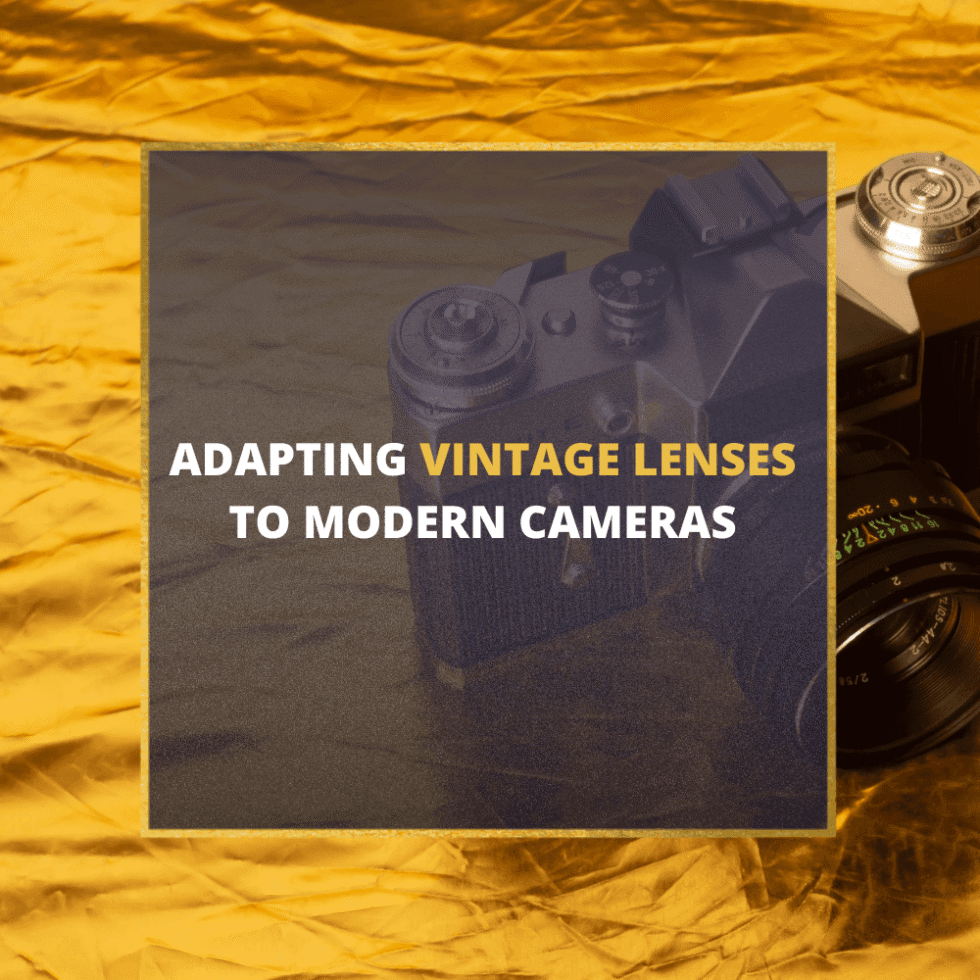 Adapting Vintage Lenses to Modern Cameras: A Comprehensive Guide [2026]