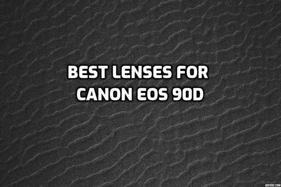 These are 5 Best Lenses for Canon 90D [In 2022]