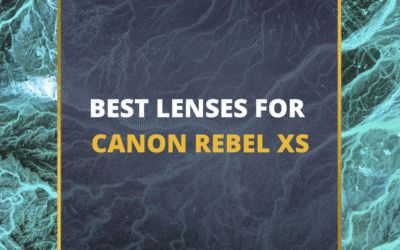 📸 5 MUST-OWN Lenses For Rebel XS In 2024 (Guide)