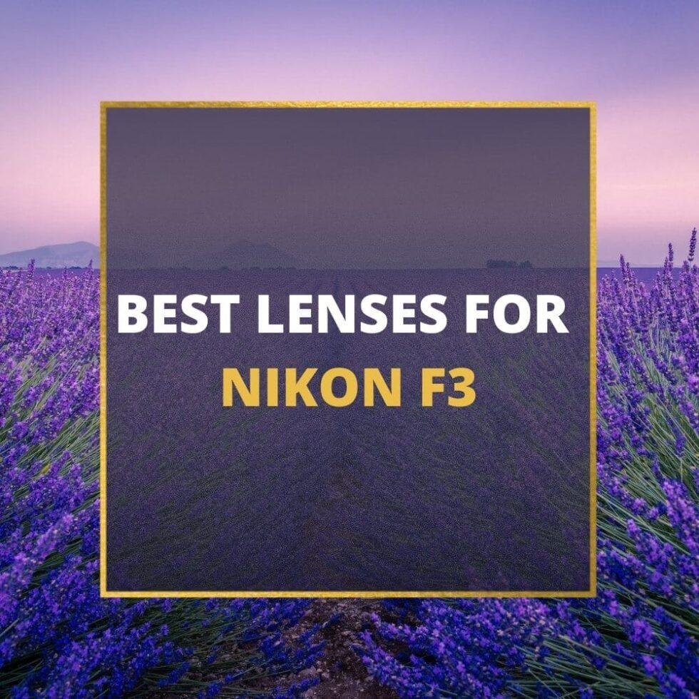 These Are 5 Best Lenses For Nikon F3 In 2023 [Beginner's Guide] 📸