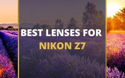 📸 5 MUST-OWN Lenses For Nikon Z7 In 2024 [Guide]