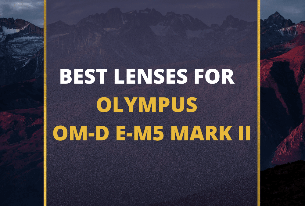 📸 5 Best Lenses For Olympus E-M5 Mark II In 2026 [Guide]