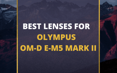 📸 5 Best Lenses For Olympus E-M5 Mark II In 2024 [Guide]