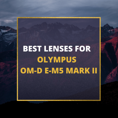 📸 5 Best Lenses For Olympus E-M5 Mark II In 2024 [Guide]