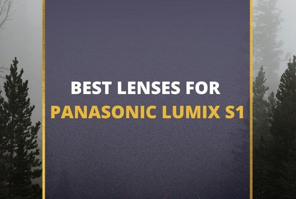 📸 5 Best Lenses For Panasonic Lumix S1 In 2026 [Guide]