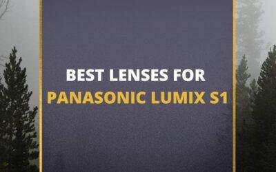 📸 5 Best Lenses For Panasonic Lumix S1 In 2024 [Guide]