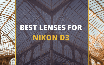 📸 5 MUST-OWN Lenses For Nikon D3 In 2024 (Guide)