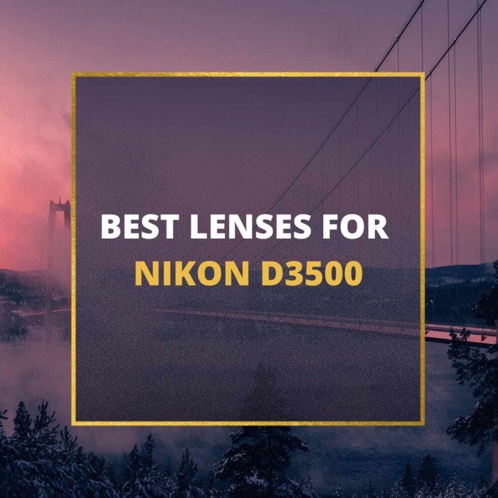 5 Best Nikon D3500 Lenses Every Beginner Should Own [In 2023] 📸