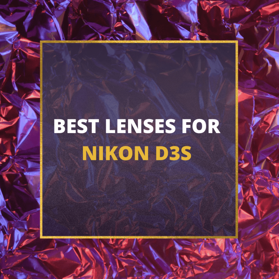 📸 5 MUSTOWN Lenses For Nikon D3S In 2024 (Guide)