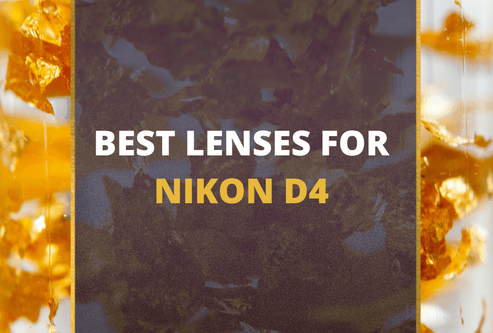 📸 5 MUST-OWN Lenses For Nikon D4 In 2026 (Guide)