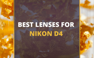 📸 5 MUST-OWN Lenses For Nikon D4 In 2024 (Guide)