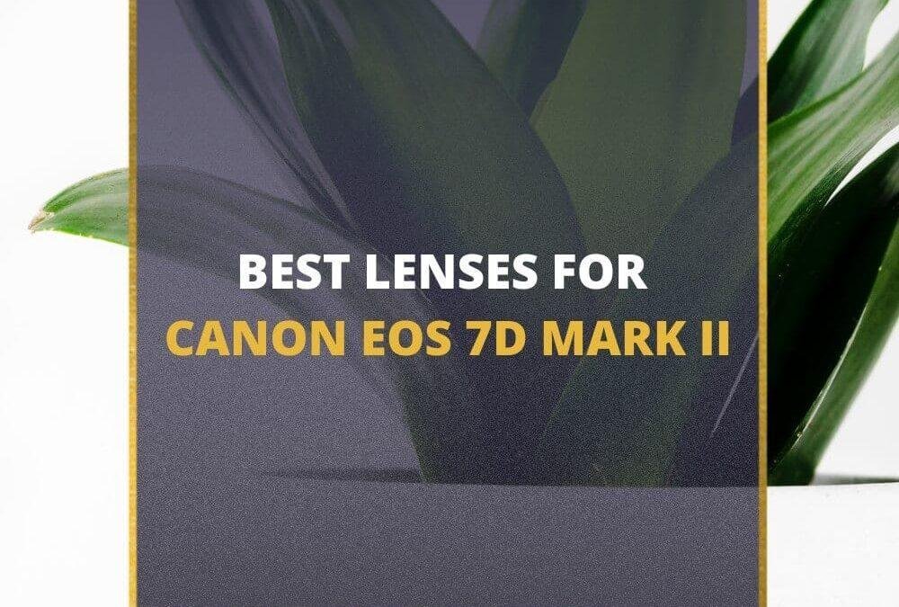 📸 5 MUST-OWN Lenses for Canon 7D Mark II in 2026 (Guide)