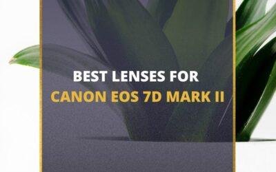 📸 5 MUST-OWN Lenses for Canon 7D Mark II in 2024 (Guide)