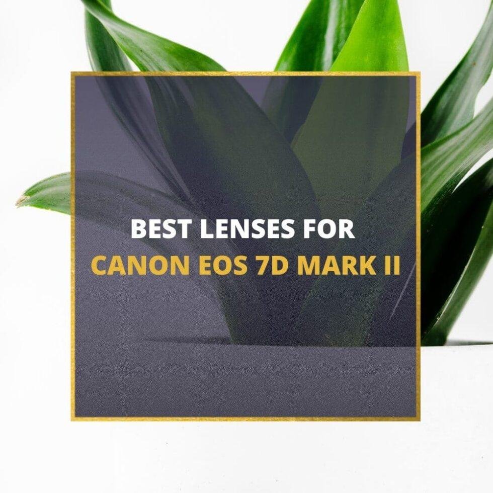 These Are 5 Best Lenses For Canon EOS 7D Mark II [In 2023] 📸