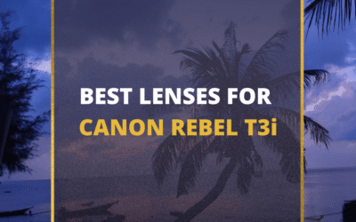 📸 5 MUST-OWN Lenses For Canon Rebel T3i In 2024 (Guide)