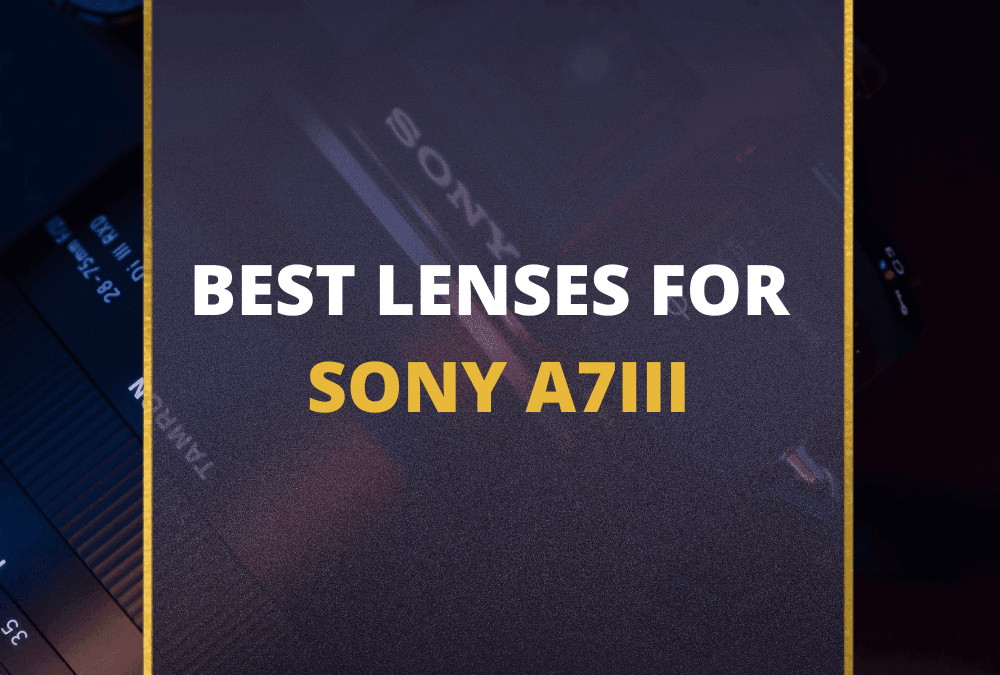 📸 5 MUST-OWN Lenses For Sony a7III In 2026 [Guide]