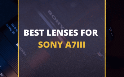 📸 5 MUST-OWN Lenses For Sony a7III In 2024 [Guide]