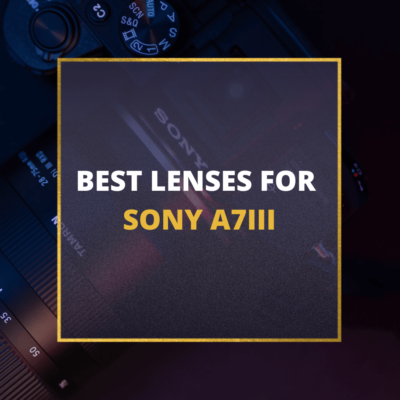 📸 5 MUST-OWN Lenses For Sony a7III In 2024 [Guide]
