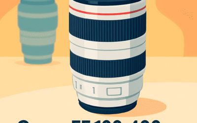 Canon EF 100-400mm f/4.5-5.6L II Review &ndash; Is It Still Worth It in 2026?