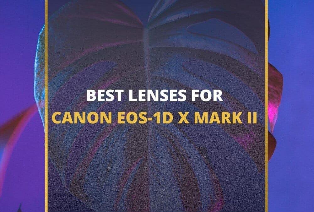 📸 5 Best Canon EOS-1D X Mark II Lenses In 2026 [Guide]