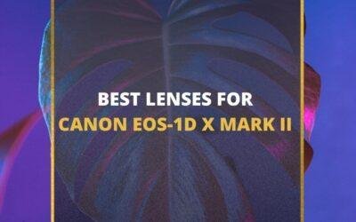 📸 5 Best Canon EOS-1D X Mark II Lenses In 2024 [Guide]