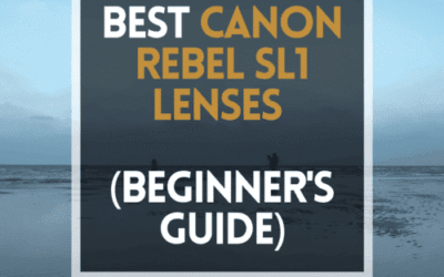📸 5 MUST-OWN Lenses For Canon Rebel SL1 in 2024 (Guide)