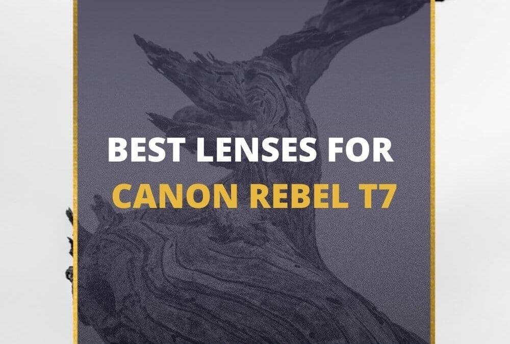 📸 5 MUST-OWN Lenses For Canon Rebel T7 In 2026 [Guide]