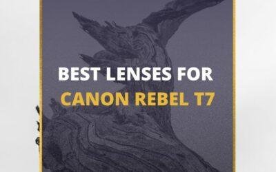 📸 5 MUST-OWN Lenses For Canon Rebel T7 In 2024 [Guide]