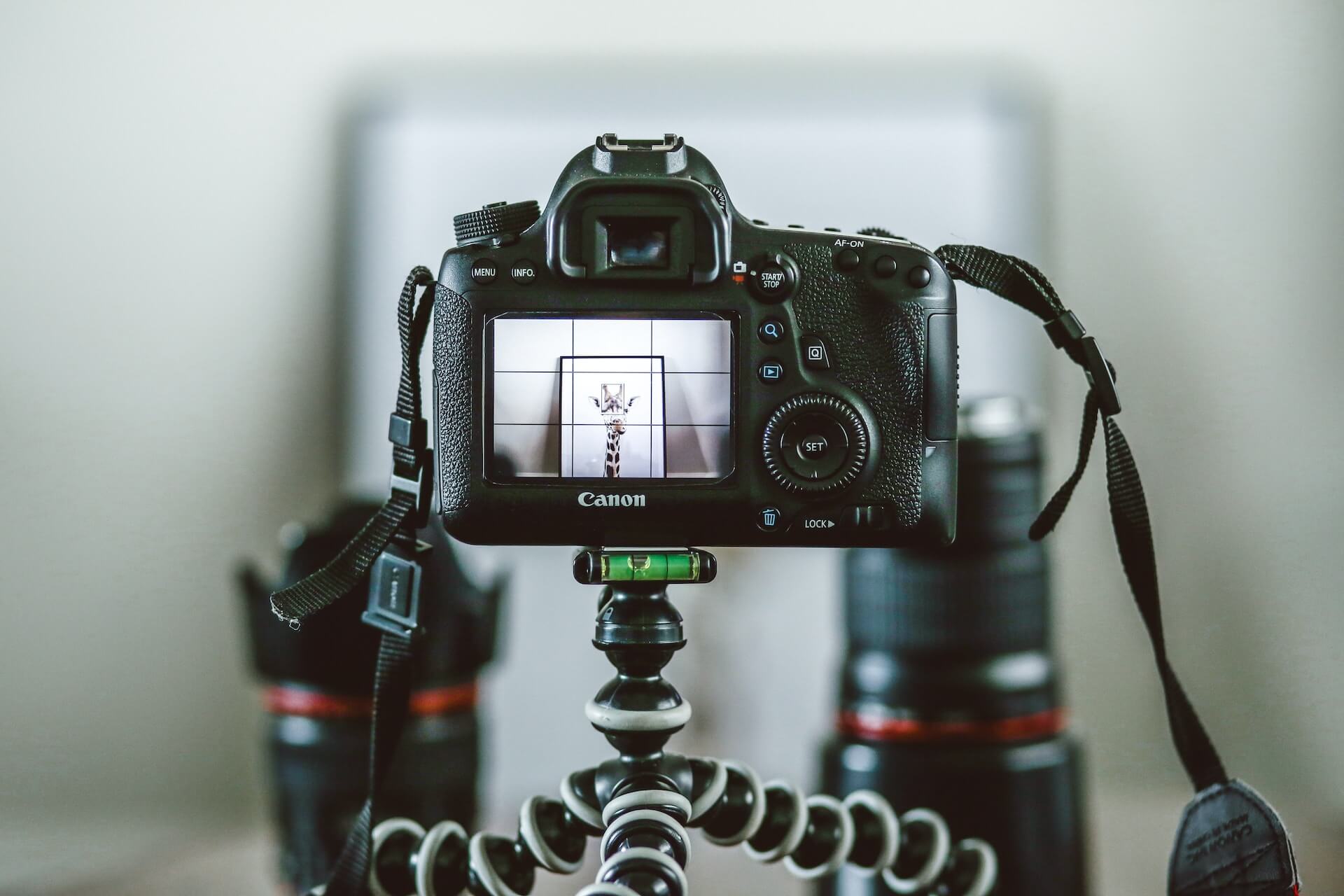 Close-up photography essentials