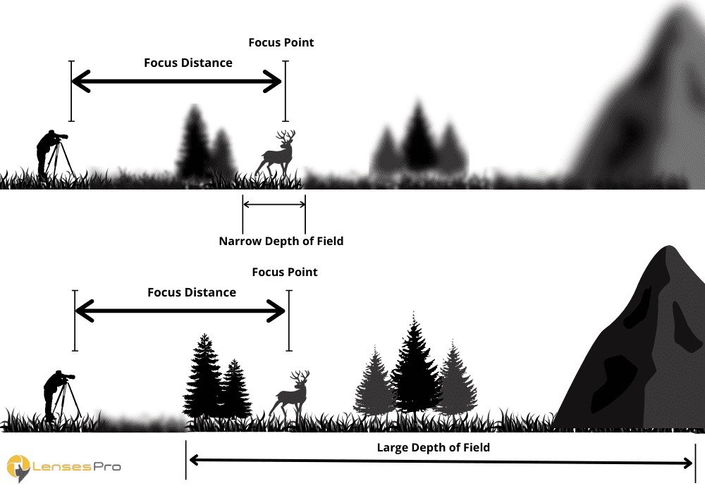 Depth of field explained