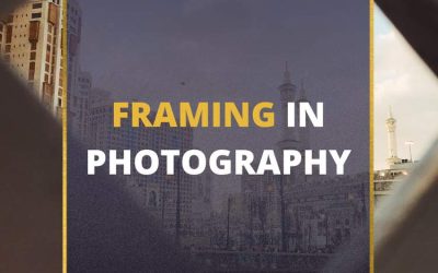 Framing in Photography 101: A Beginner’s Guide (2024)