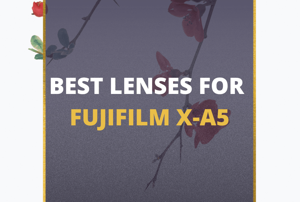 📸 5 MUST-OWN Lenses For Fujifilm X-A5 In 2026 [Guide]