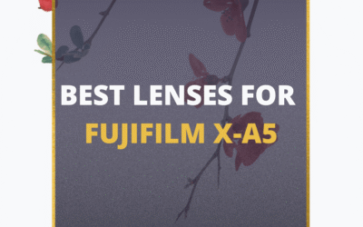📸 5 MUST-OWN Lenses For Fujifilm X-A5 In 2024 [Guide]