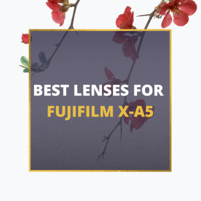 📸 5 MUST-OWN Lenses For Fujifilm X-A5 In 2024 [Guide]