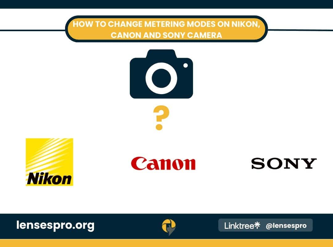 How to Change Metering Modes on Nikon, Canon, and Sony Cameras