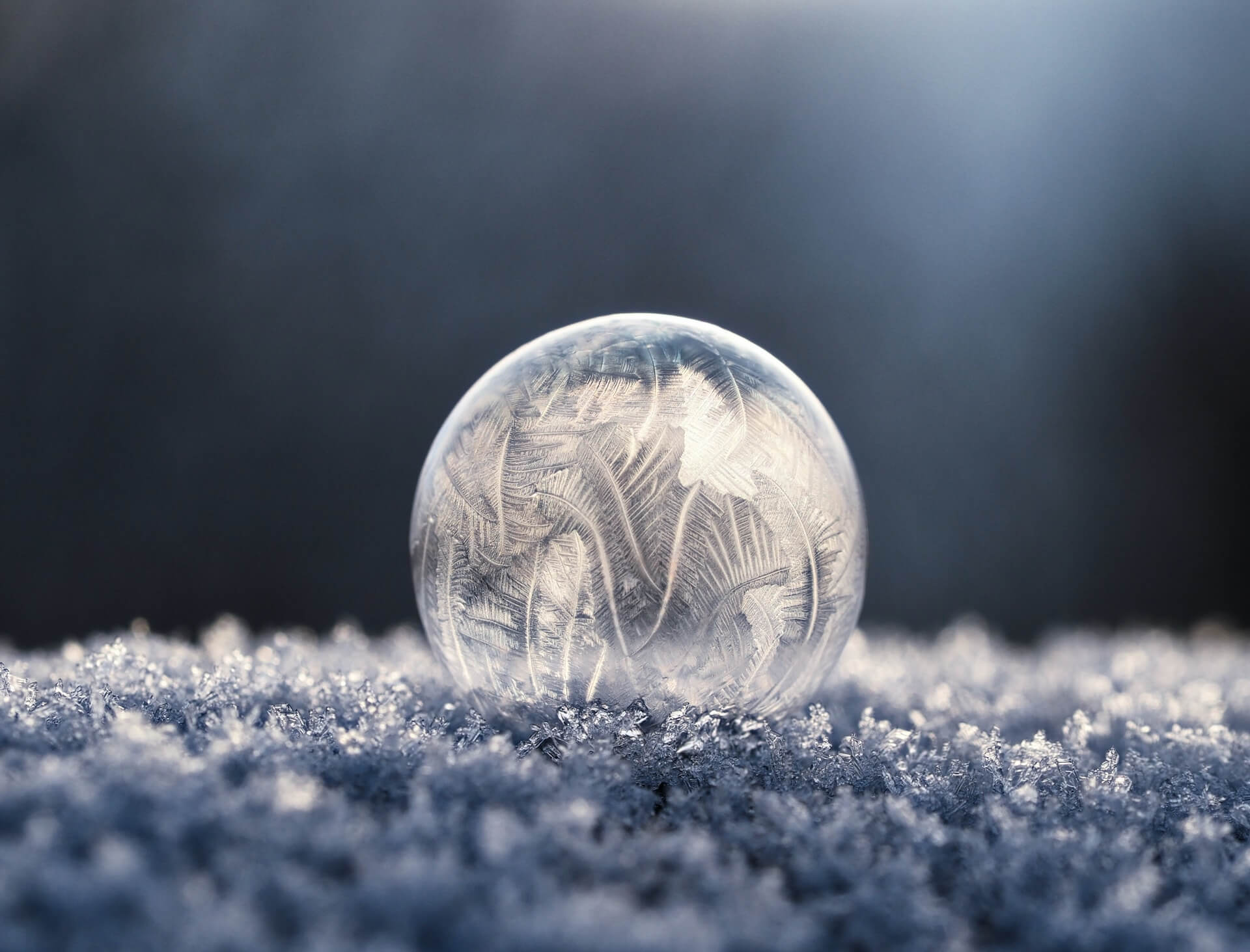 Macro photography tips
