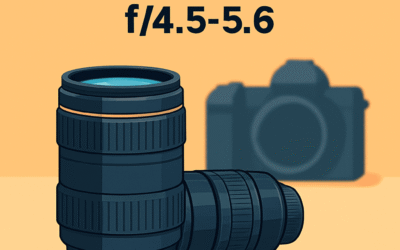 Nikon AF-S NIKKOR 80-400mm f/4.5-5.6 F mount Review (Buying Guide 2026)