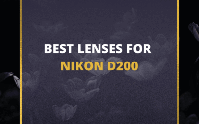 📸 5 MUST-OWN Lenses For Nikon D200 In 2024 (Guide)