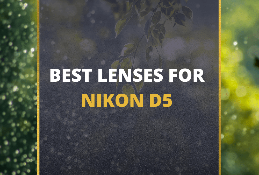 📸 5 MUST-OWN Lenses For Nikon D5 In 2026 (Guide)
