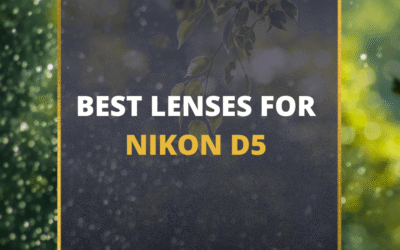 📸 5 MUST-OWN Lenses For Nikon D5 In 2024 (Guide)