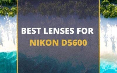 📸 5 MUST-OWN Lenses For Nikon D5600 In 2024 [Guide]