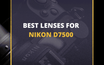 📸 5 MUST-OWN Lenses For Nikon D7500 In 2024 [Guide]