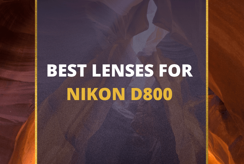 📸 5 MUST-OWN Lenses For Nikon D800 In 2026 (Guide)