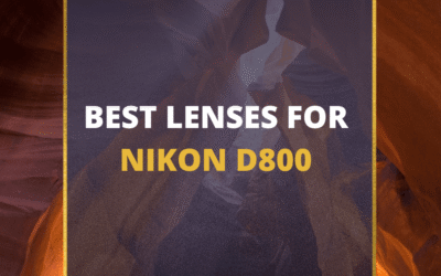 📸 5 MUST-OWN Lenses For Nikon D800 In 2024 (Guide)