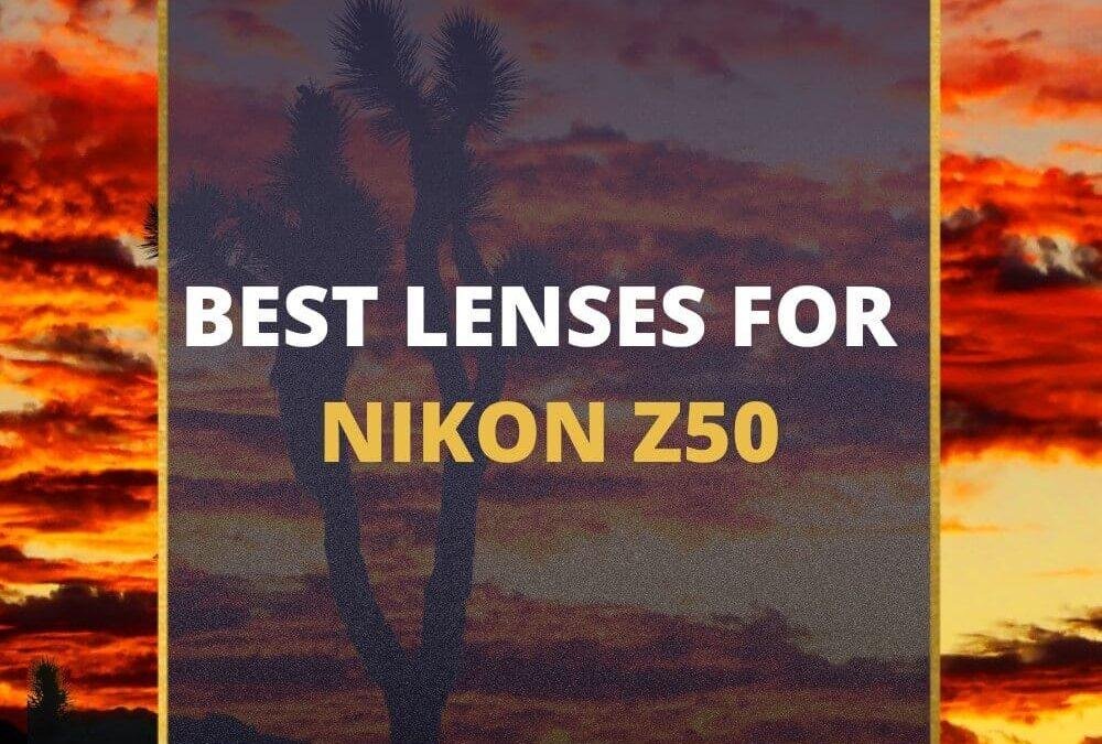📸 5 MUST-OWN Lenses For Nikon Z50 In 2026 (Guide)