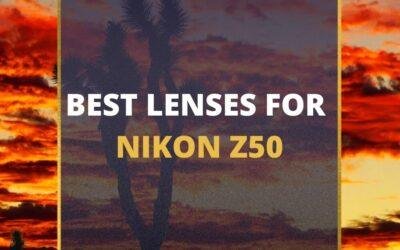📸 5 MUST-OWN Lenses For Nikon Z50 In 2024 (Guide)