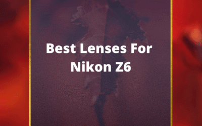 📸 5 MUST-OWN Lenses For Nikon Z6 In 2024 [Guide]
