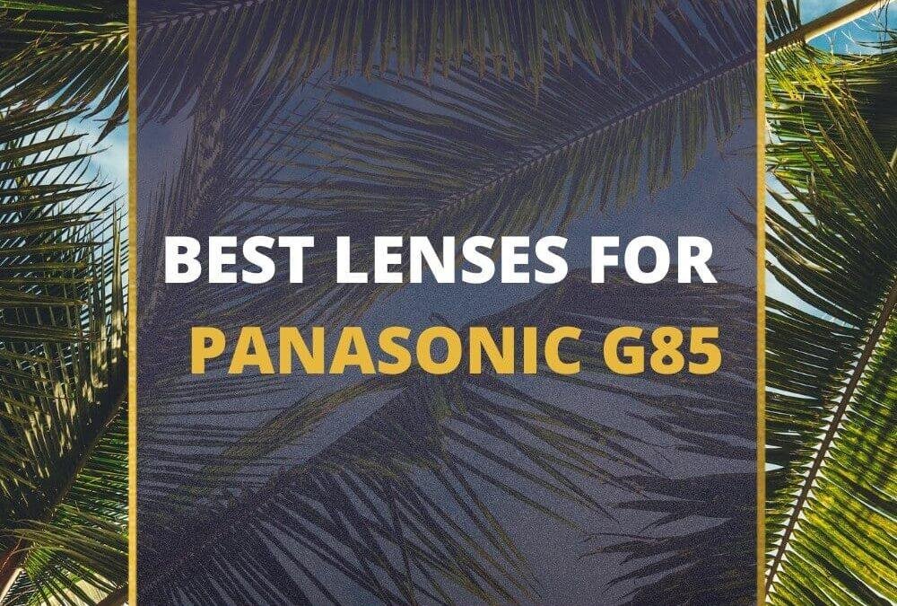 📸 5 MUST-OWN Lenses For Panasonic G85 In 2026 [Guide]