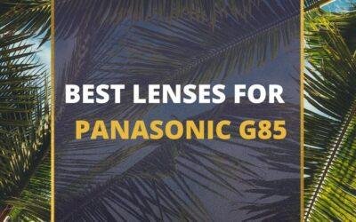 📸 5 MUST-OWN Lenses For Panasonic G85 In 2024 [Guide]