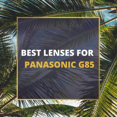 📸 5 MUST-OWN Lenses For Panasonic G85 In 2024 [Guide]